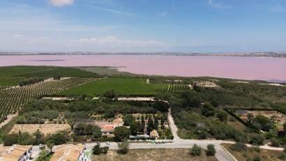 Återförsäljning - Radhus -
Torrevieja - Lago jardin