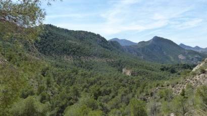 Återförsäljning - Semi detached -
Murcia