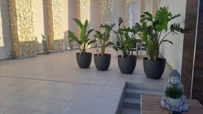 Återförsäljning - Villa -
Ciudad quesada - Ciudad Quesada